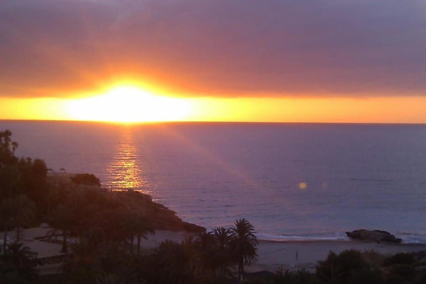 Sol Mediterraneo Palm 8 * Villajoyosa